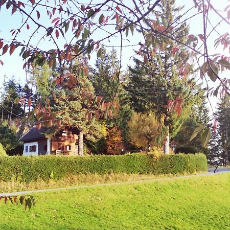 Waldheimat Apartment Fresach Luaran gambar
