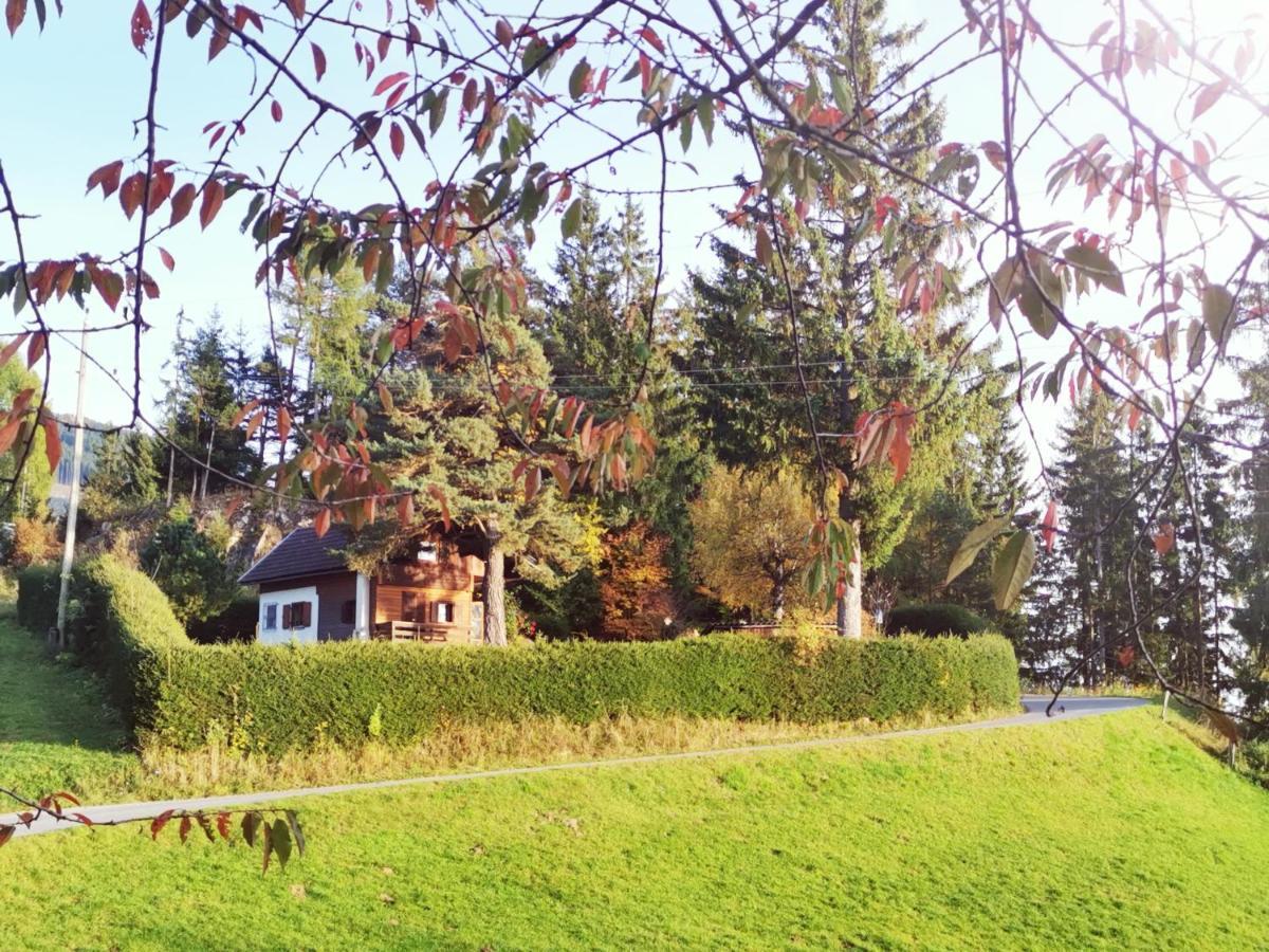 Waldheimat Apartment Fresach Luaran gambar